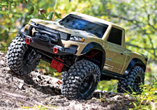 TRX-4 Sport (#82024-4) Action (Tan)