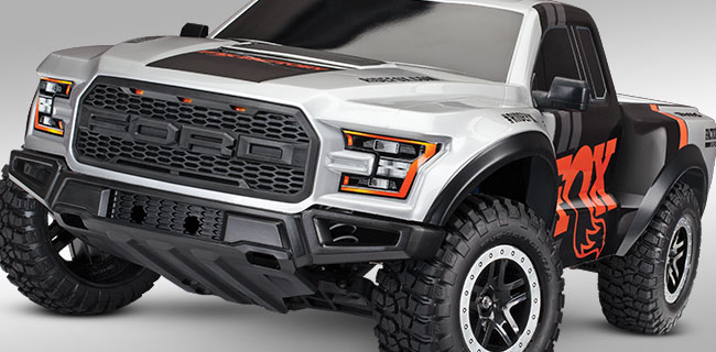 Detailed Raptor Body